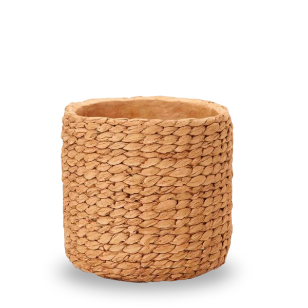 13969 Cachepot