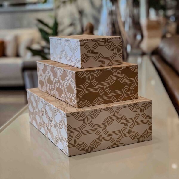 13156 Cajas