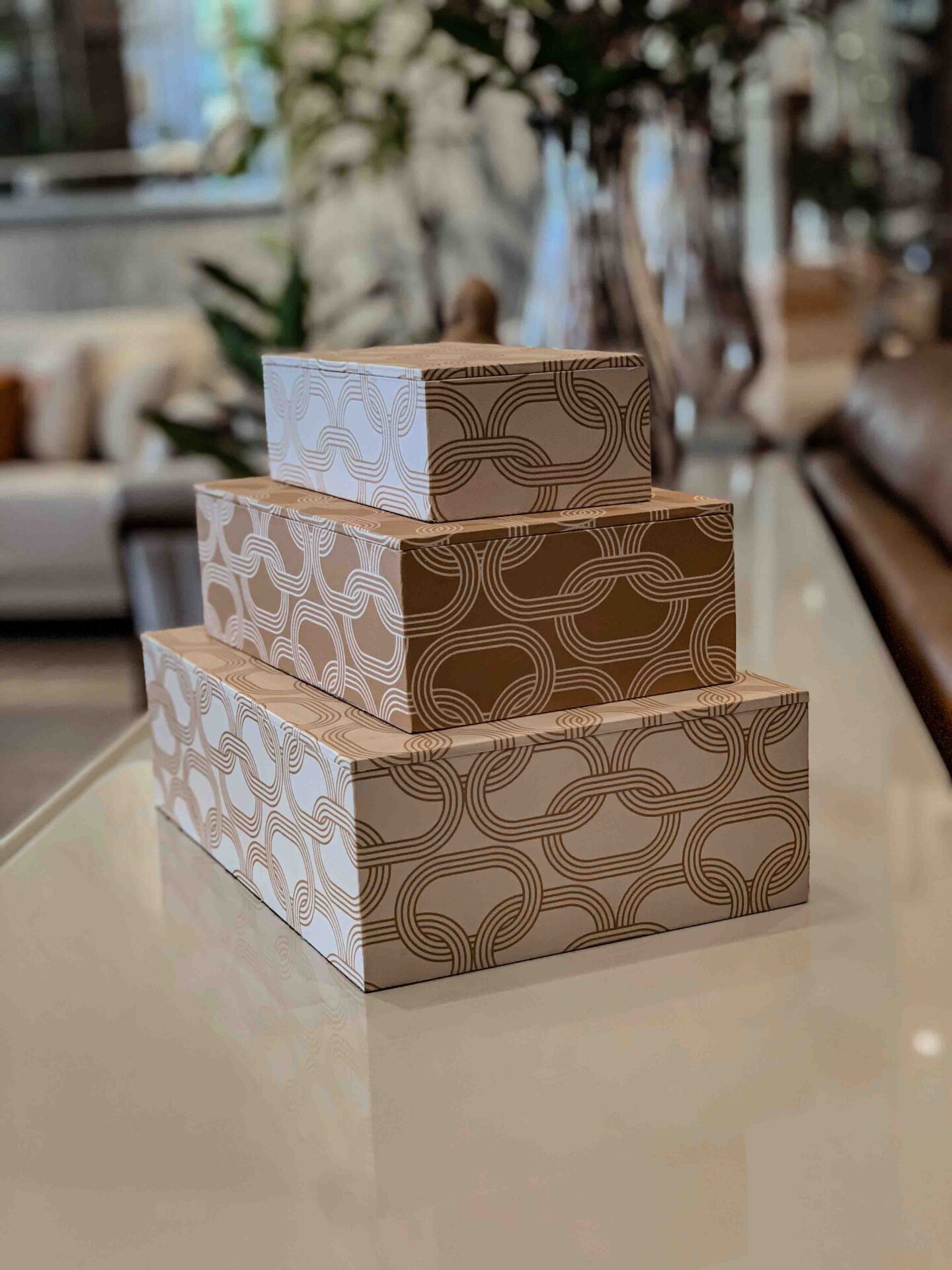 13156 Cajas