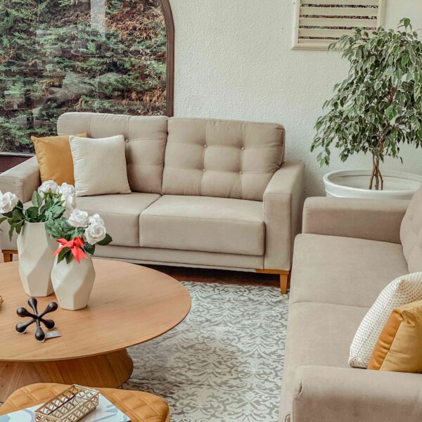 cojin decorativo