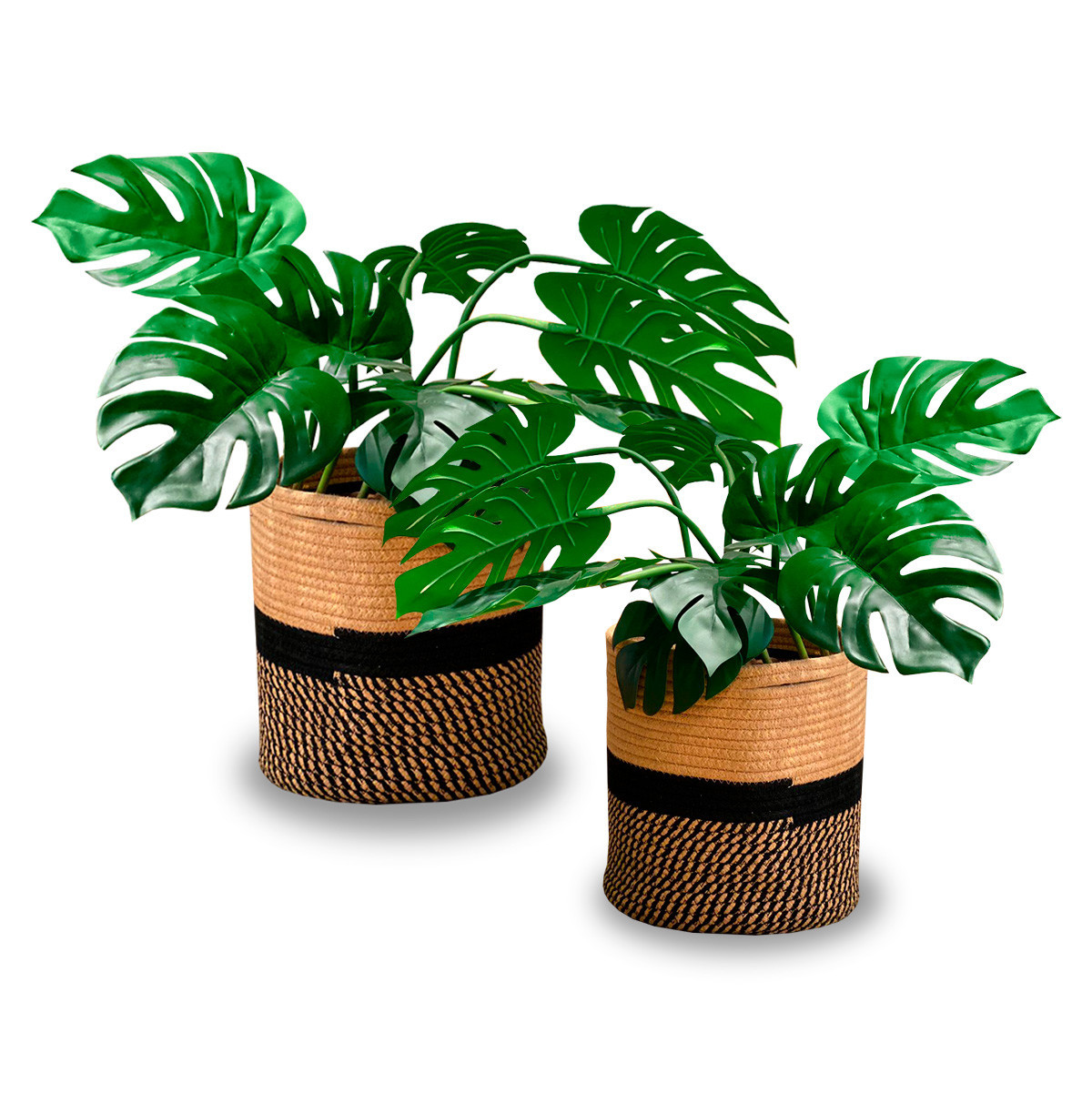set cesto decorativo