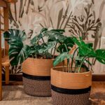 set cesto decorativo