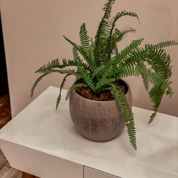Maceta Pot Cover Alberta