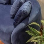 sofa organic