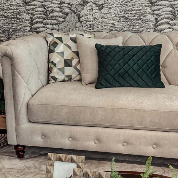 cojin decorativo