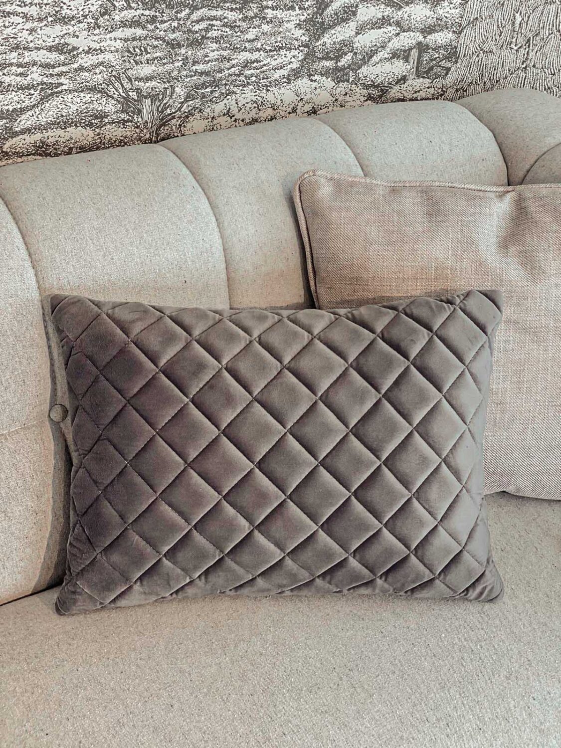 cojin decorativo