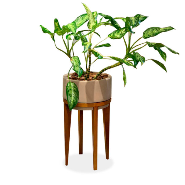 Cachepot Char GG Alto 208-367