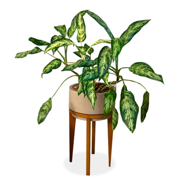 Cachepot Char GG Bajo 208-368