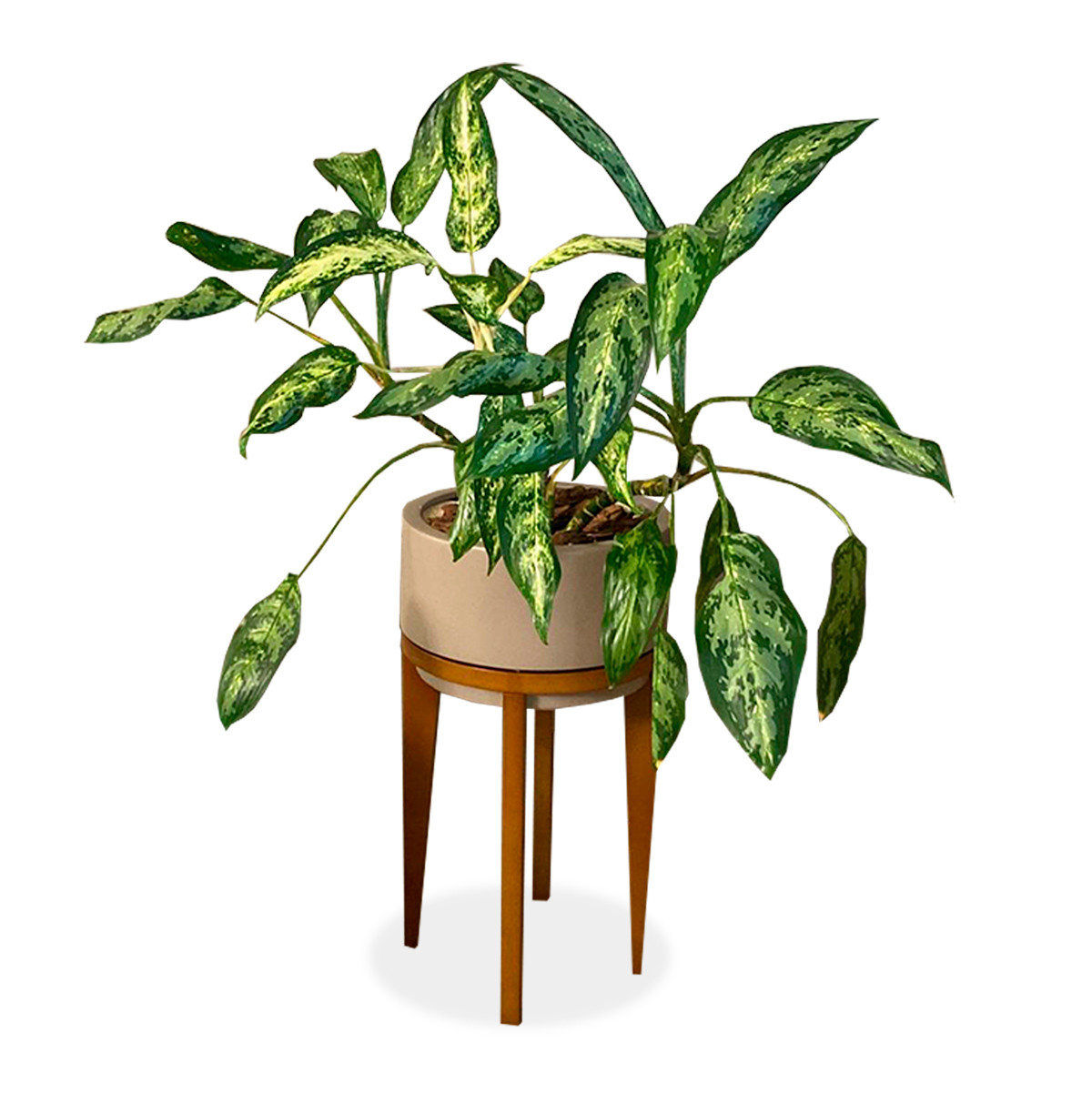 Cachepot Char GG Bajo 208-368