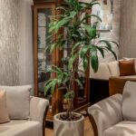 maceta con planta