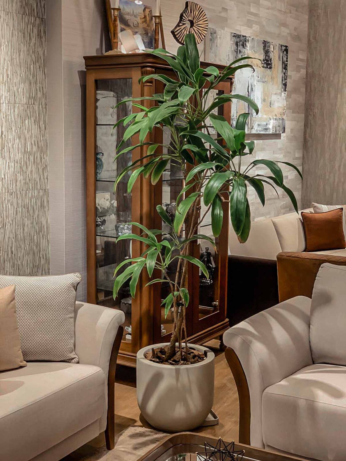 maceta con planta