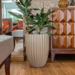 maceta con planta