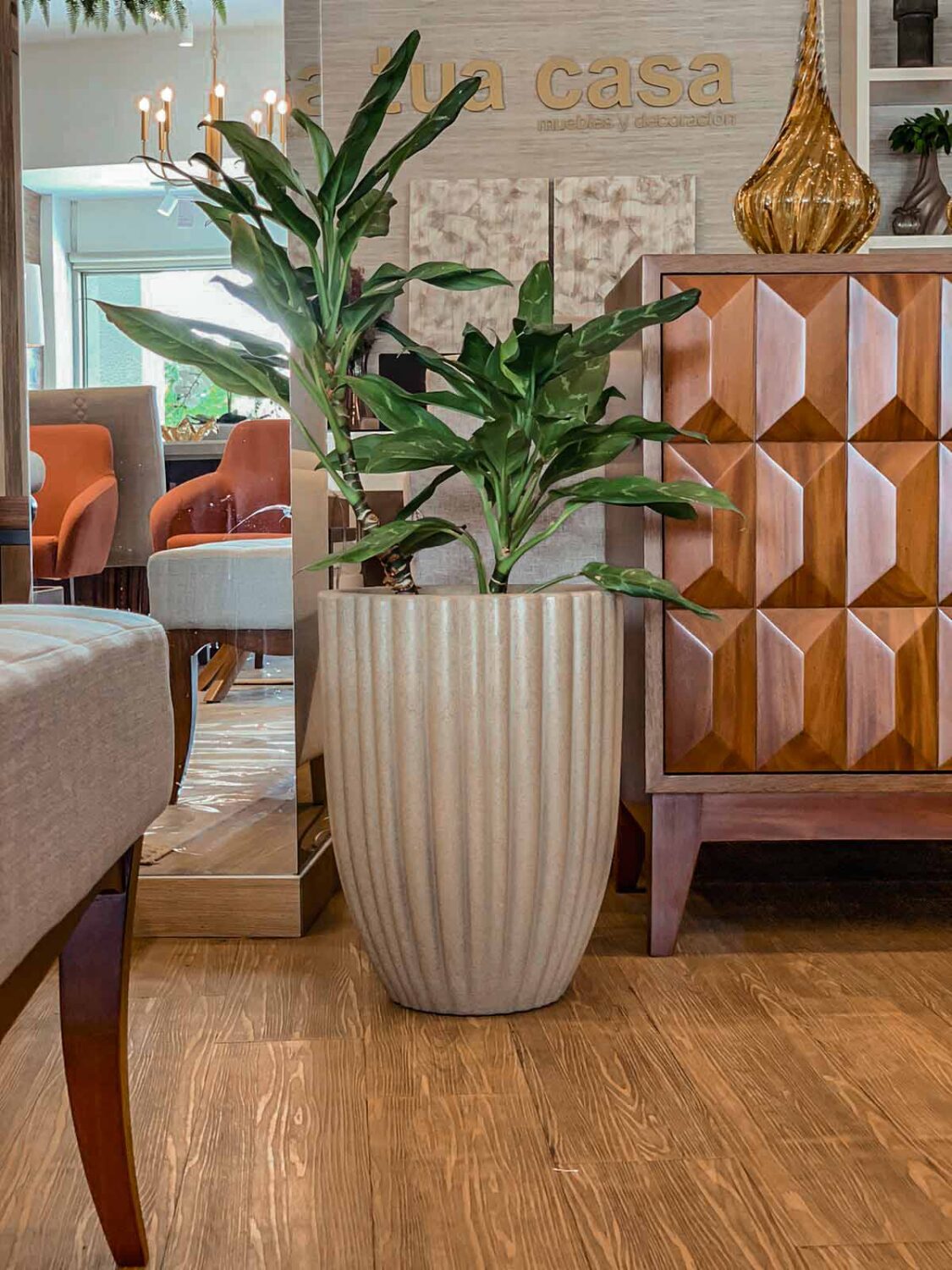 maceta con planta