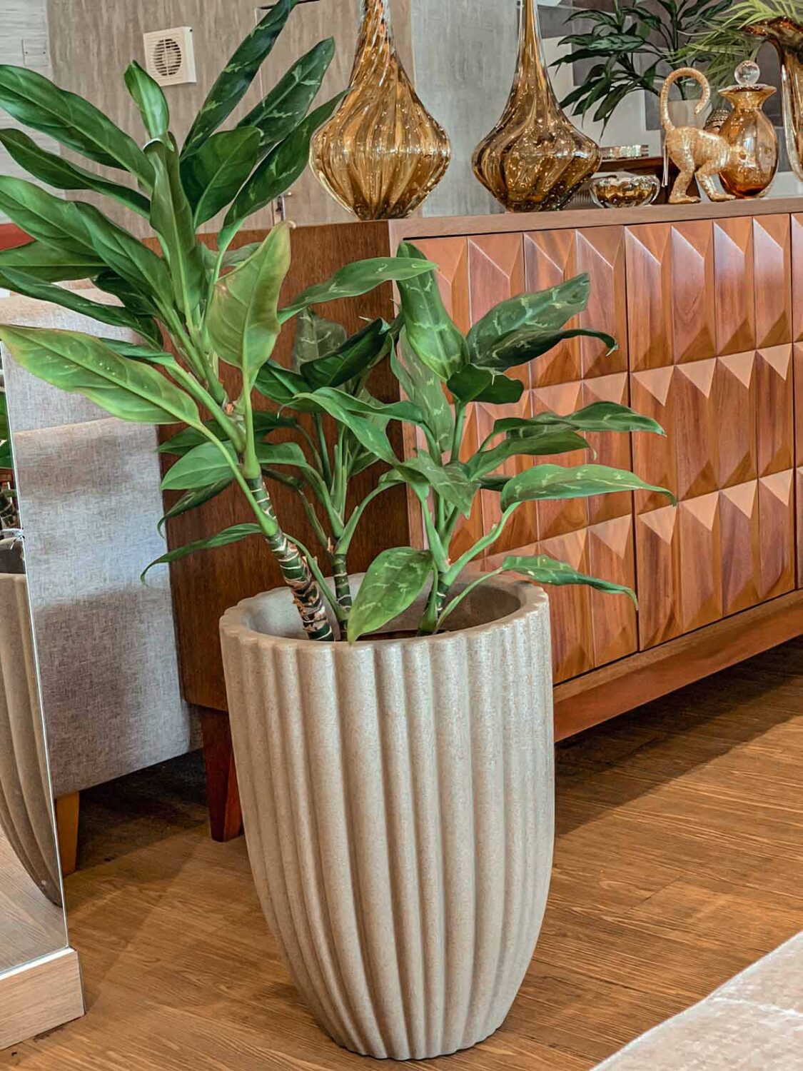 maceta con planta
