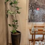 maceta con planta