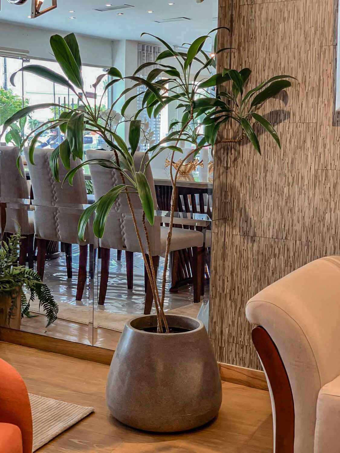 maceta con planta