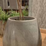 maceta con planta