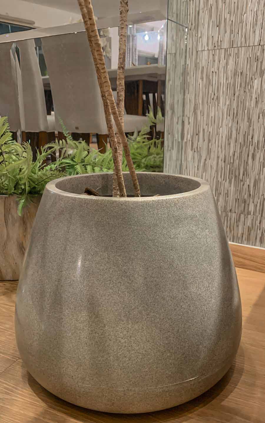 maceta con planta