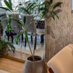 maceta con planta