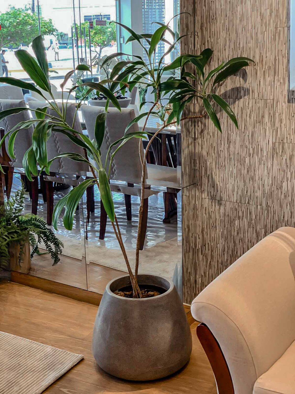 maceta con planta