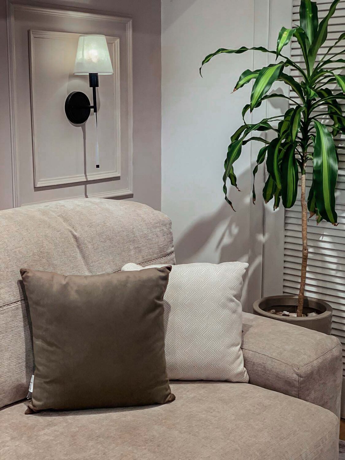 cojin decorativo