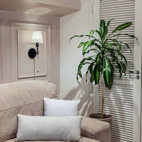 cojin decorativo