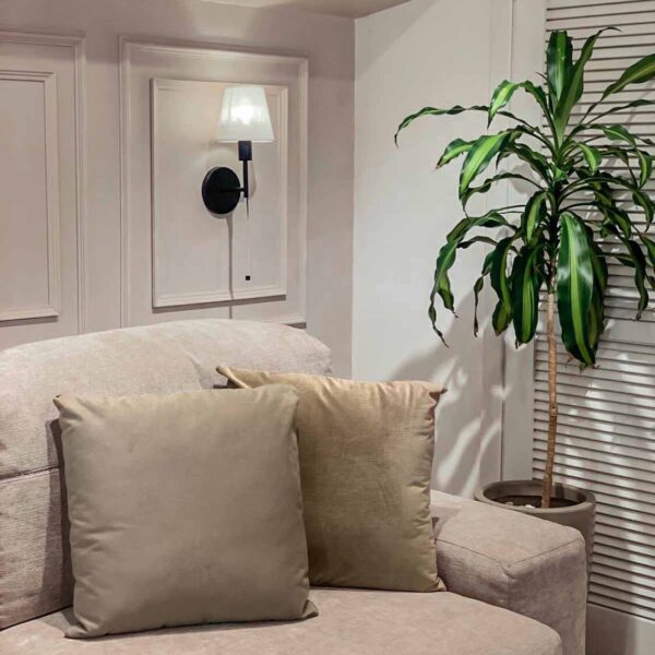 cojin decorativo