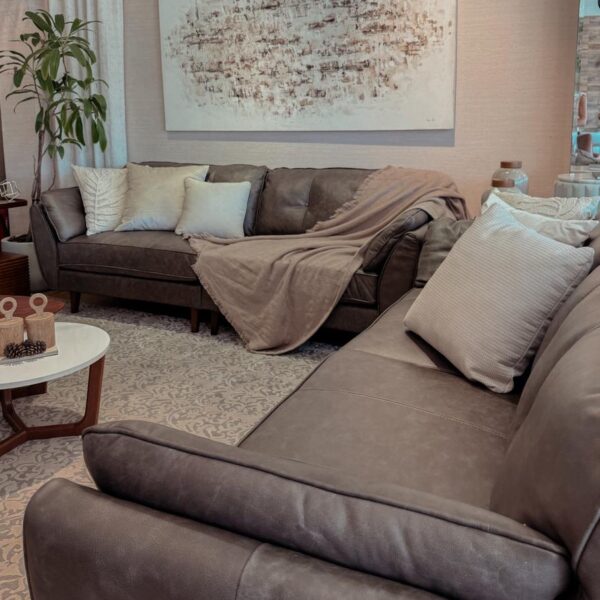 sofa defender