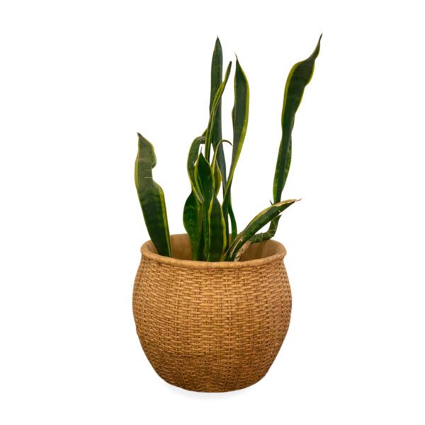 13979 Cachepot