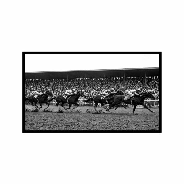 cuadro turf